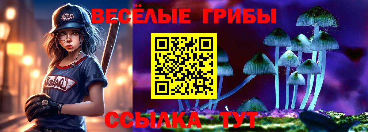 где купить наркоту  Вход с VPN  Клин  Псилоцибиновые грибы GOLDEN TEACHER 