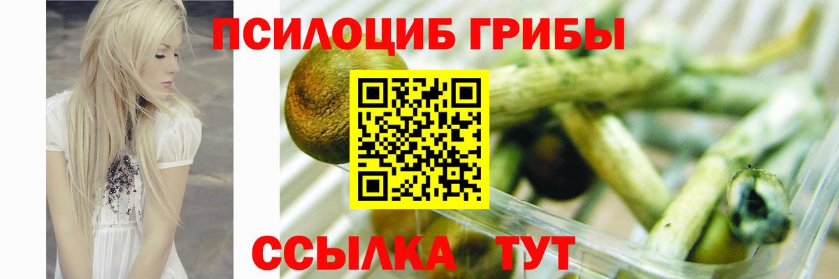 Псилоцибиновые грибы Psilocybine cubensis Клин